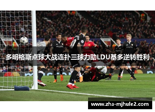 多明格斯点球大战连扑三球力助LDU基多逆转胜利 多明格斯点球大战连扑三球力助LDU基多逆转胜利